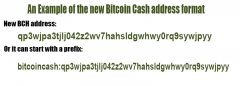 看看支撑新的BCH Cashaddr格局的服务提供商和东西_metamask怎么充值
